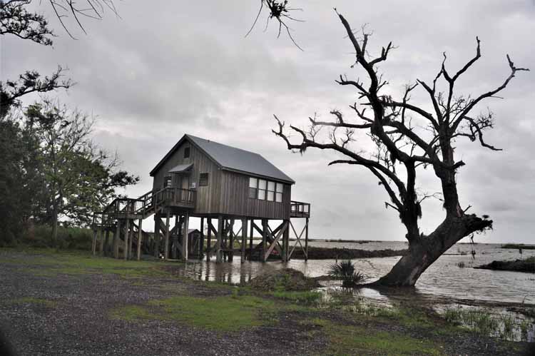 stilted shack